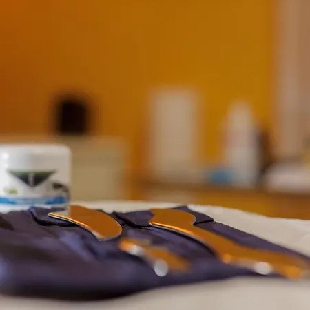 Apartamento Kim - Dilberovic *